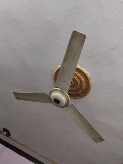 1 fan ki qeemat 7000 Total 8 Fans Hain GFC Ky Bilkul Ok hain 10/10