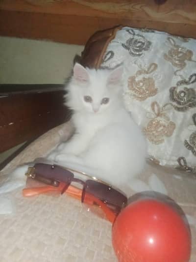 for sell Whatsapp 03070986355
