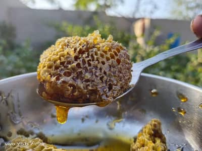 Pure Honey