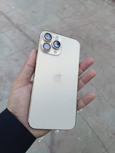 Apple iPhone 13 Pro Max