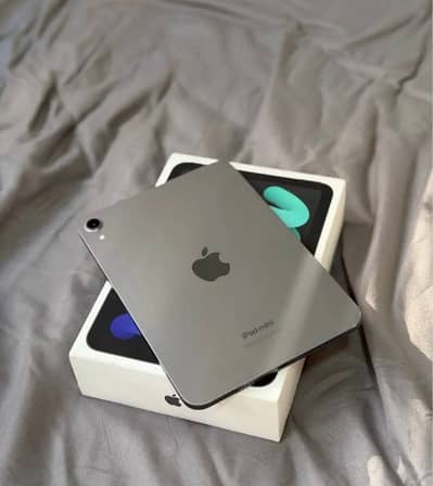 iPad mini 7 ( 128GB )