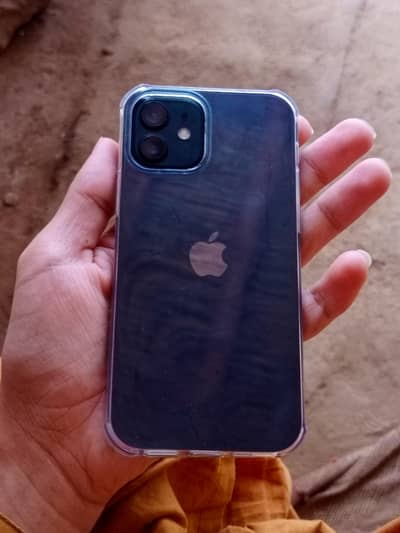 iPhone 12