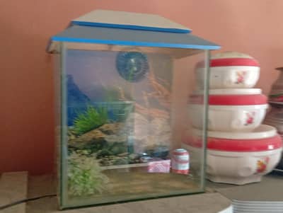 Aquarium 2 feet hight 2 feet length light ok pebbles only aquarium pe