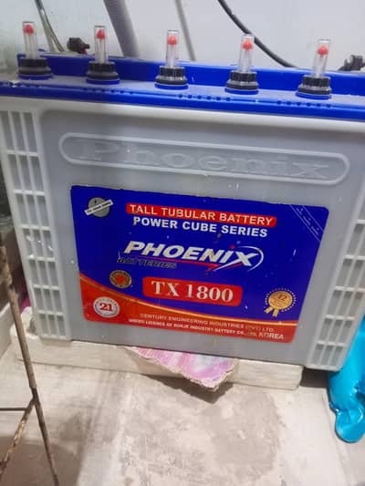 TX1800 180Ah + MPPT 70A + Enova 2000W Full Setup 40k
