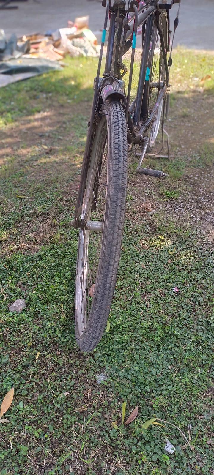 Bicycle 5