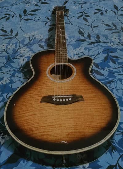 Levin Land LWW-5004C Acoustic Guitar