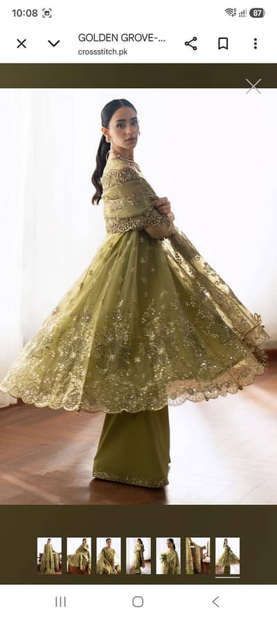 GOLDEN GROVE-2PC POLY ORGANZA EMBROIDERED PRET
