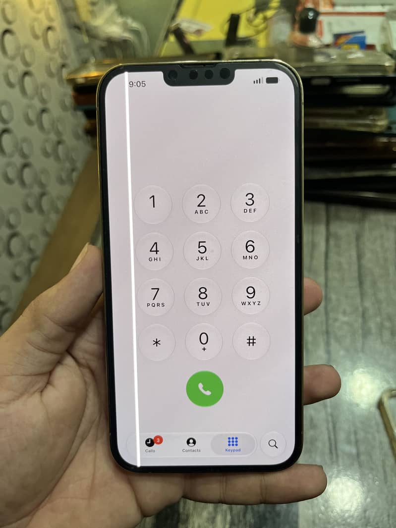 Apple iPhone 13 Pro Max 1