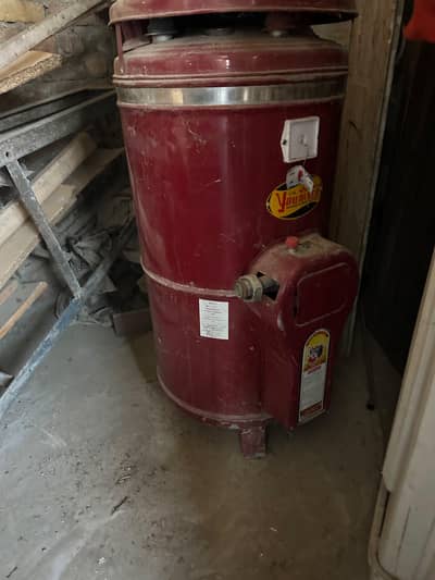 Geyser for sale