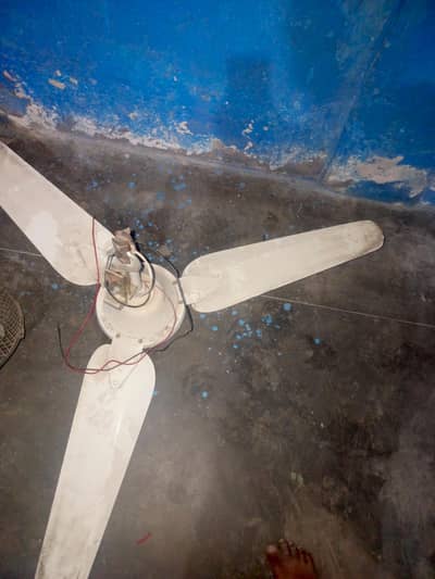 orient fan 56inch saaf condition. . . contact 03473267135