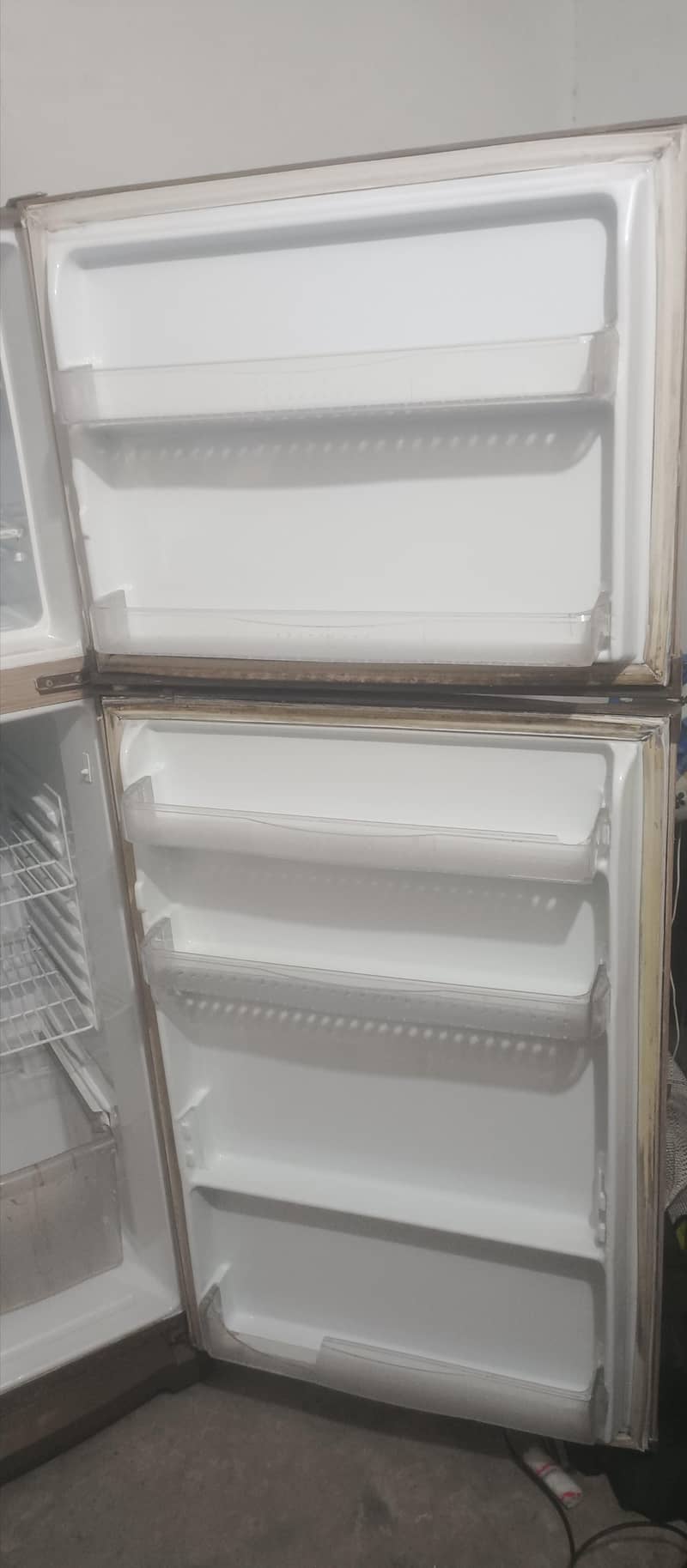 Waves Fridge 3