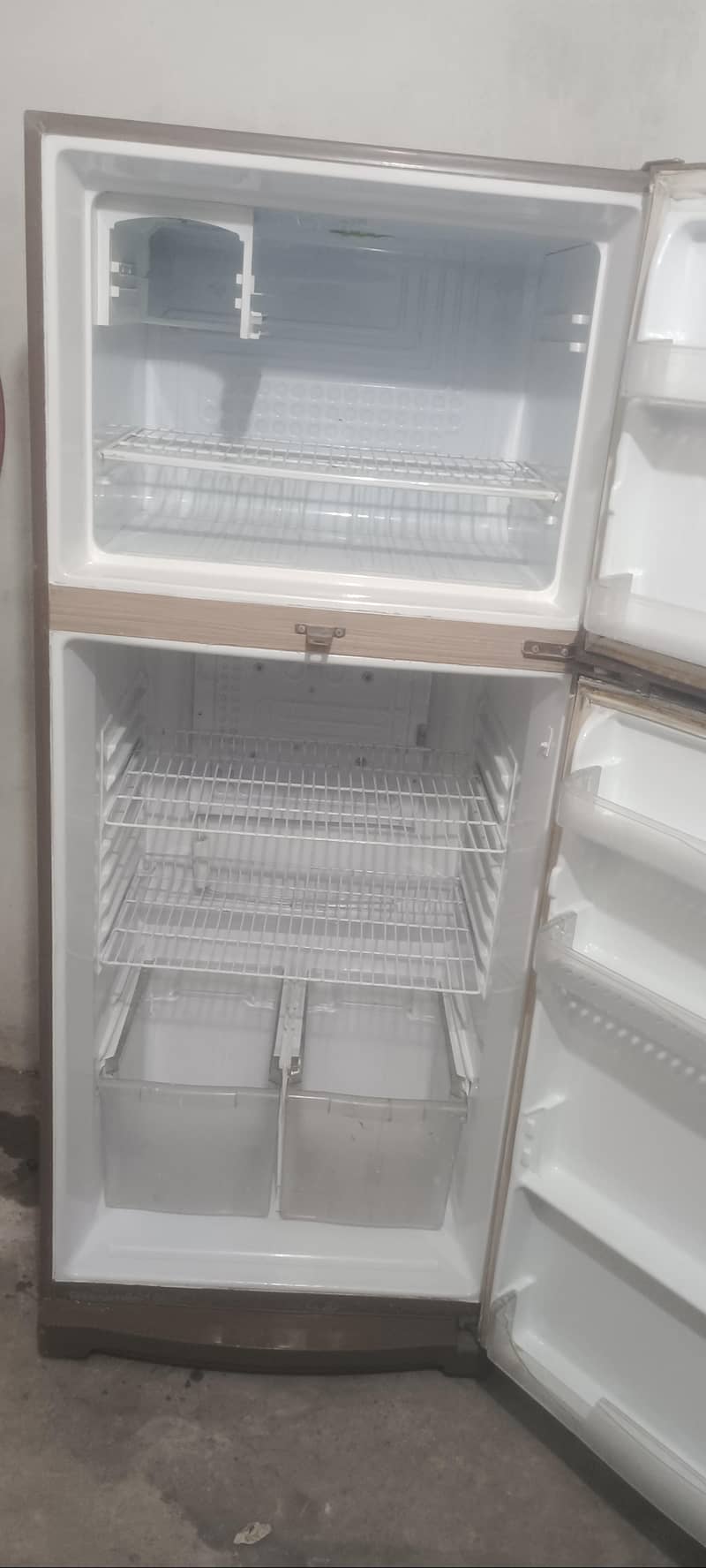 Waves Fridge 5