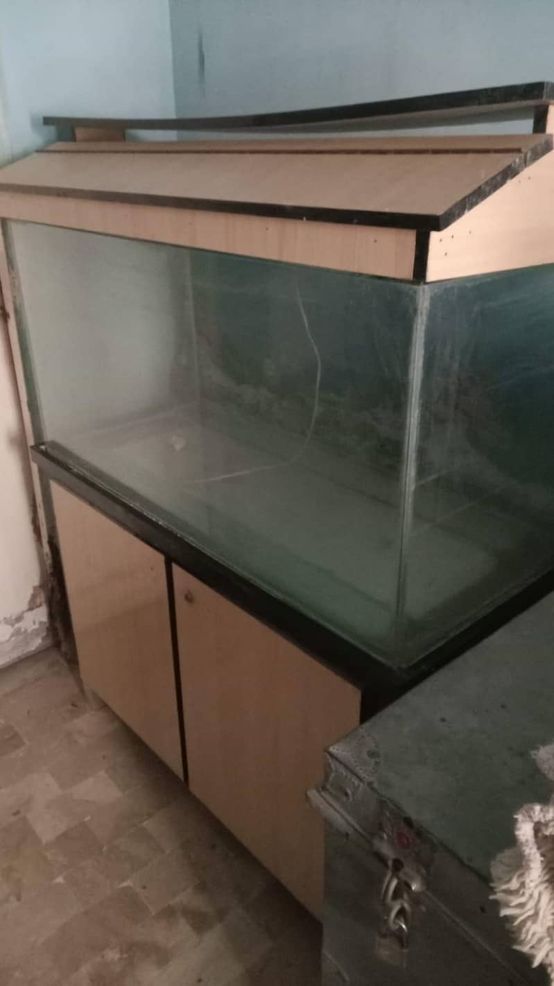 aquarium 0