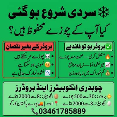 چودھری انکیوبیٹرز لاہور | Chauudhry Incubator Lahore