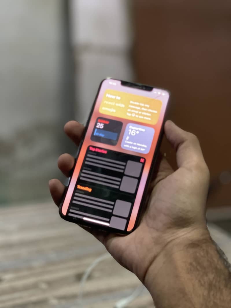 Apple iPhone XS Max 5