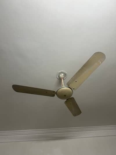 Ceilling fans
