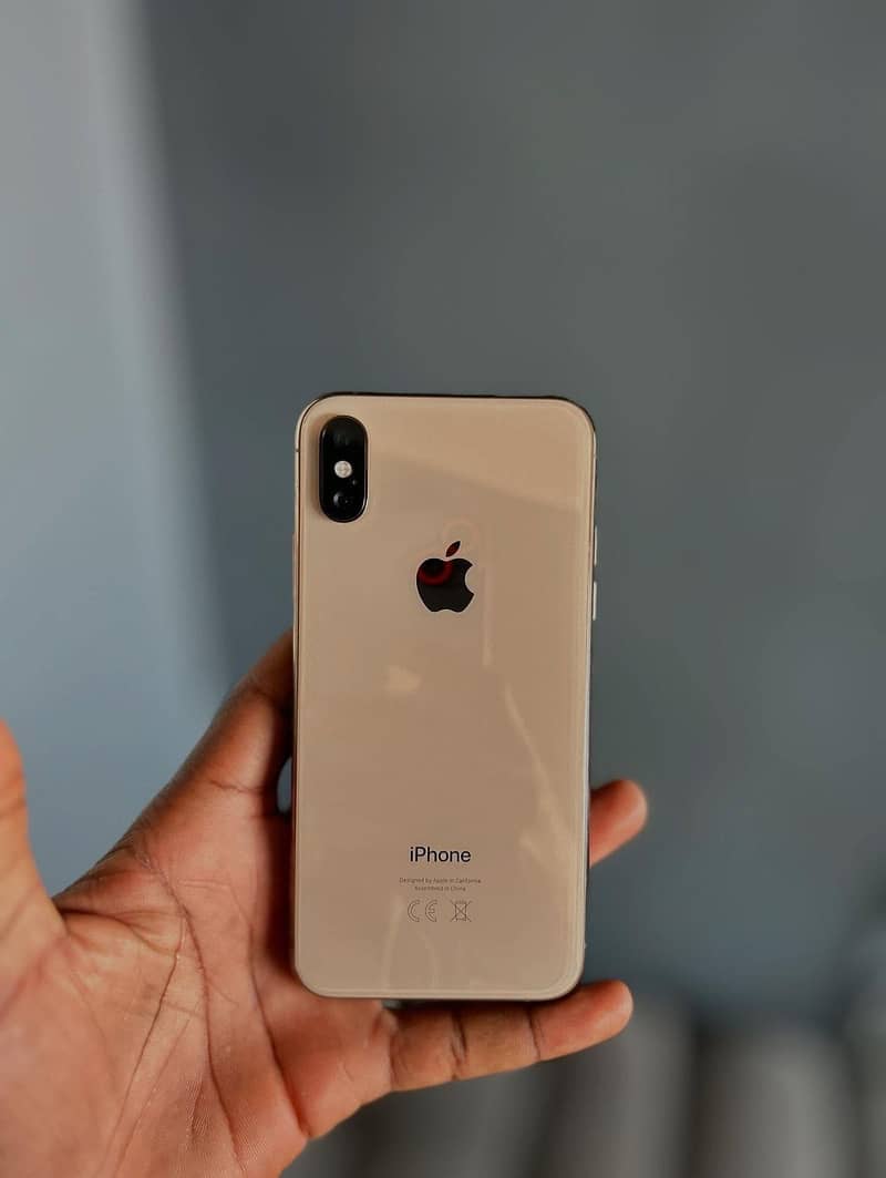 Apple iPhone XS 1