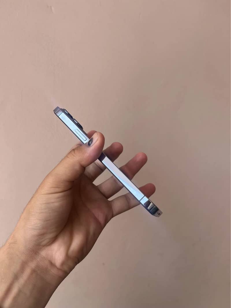 Apple iPhone 13 Pro Max 2