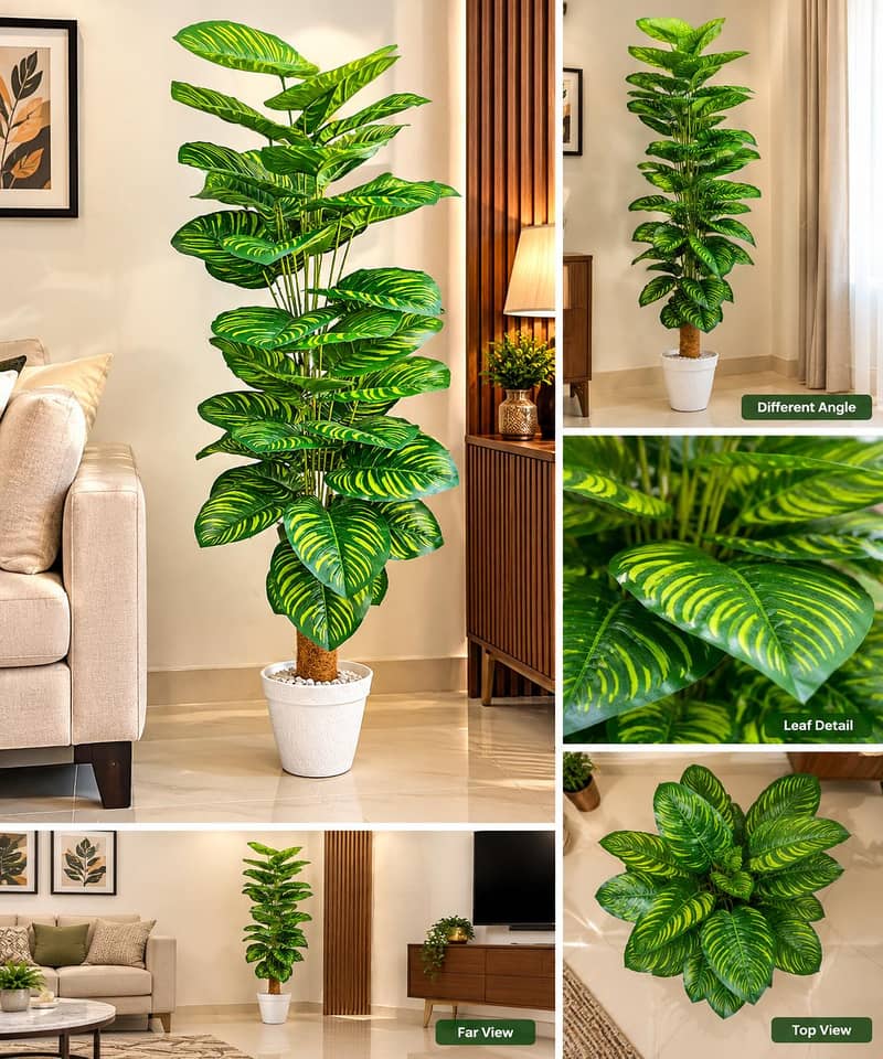 home Decorations itmes 6
