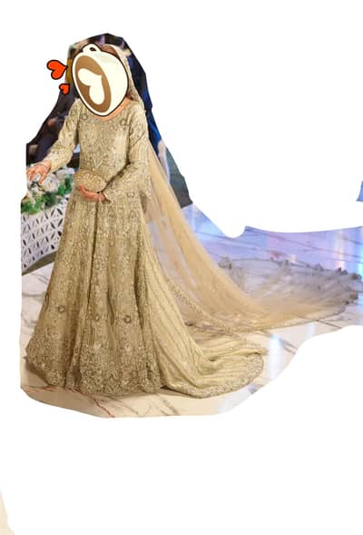 Fully New Walima Bridal Dress. Beautiful Luxurious Tail dupata