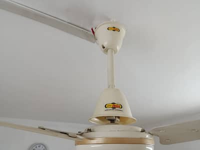 56 Inch Ceiling Fans for Sale – Excellent Condition