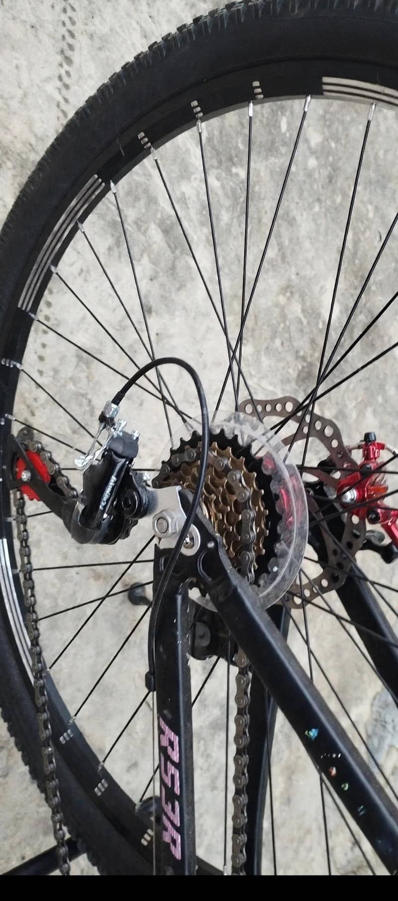 plus R53K mountain cycle 2