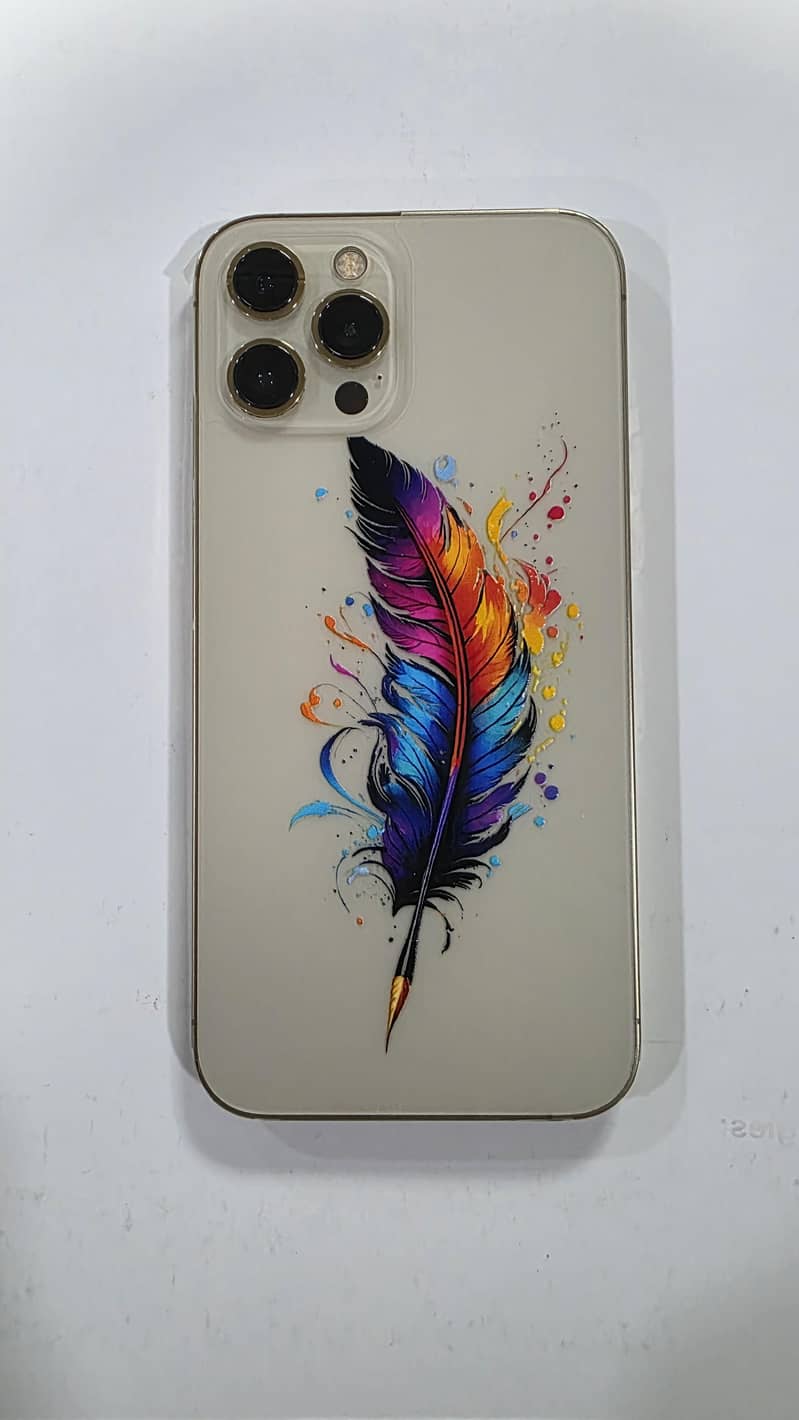 Apple iPhone 12 Pro Max 1