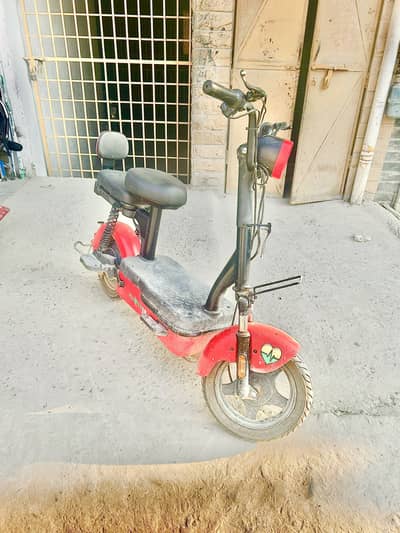 Evee company fillaper