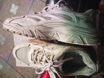 Warrior Stylish Sneakers for Men – White & Green