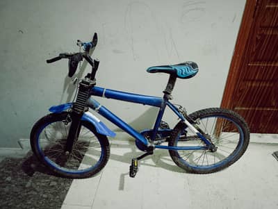 Used Bicycle