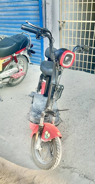Evee company filpper