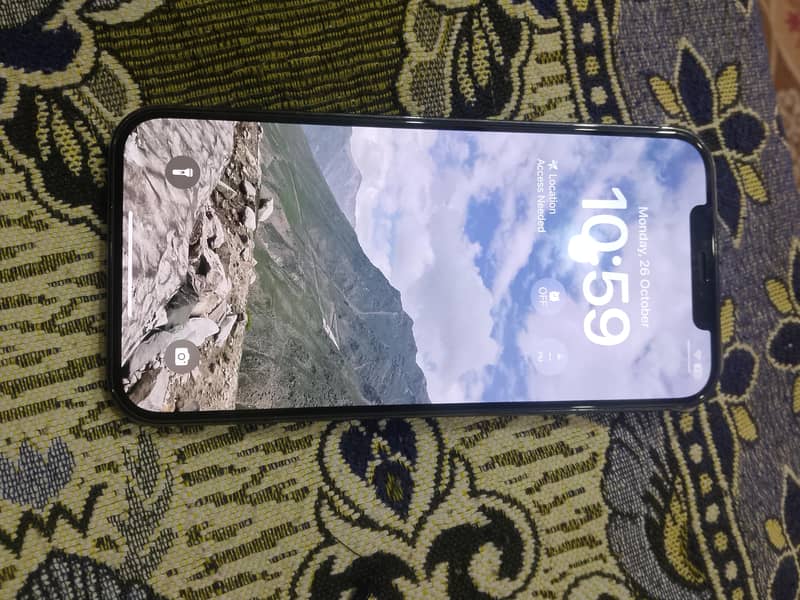 Apple iPhone 12 Pro Max 1