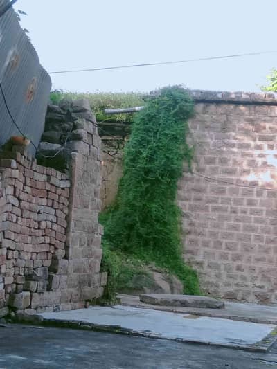 syeda