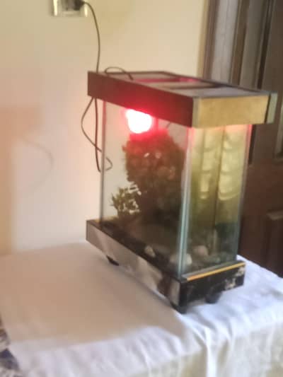 small size aquarium