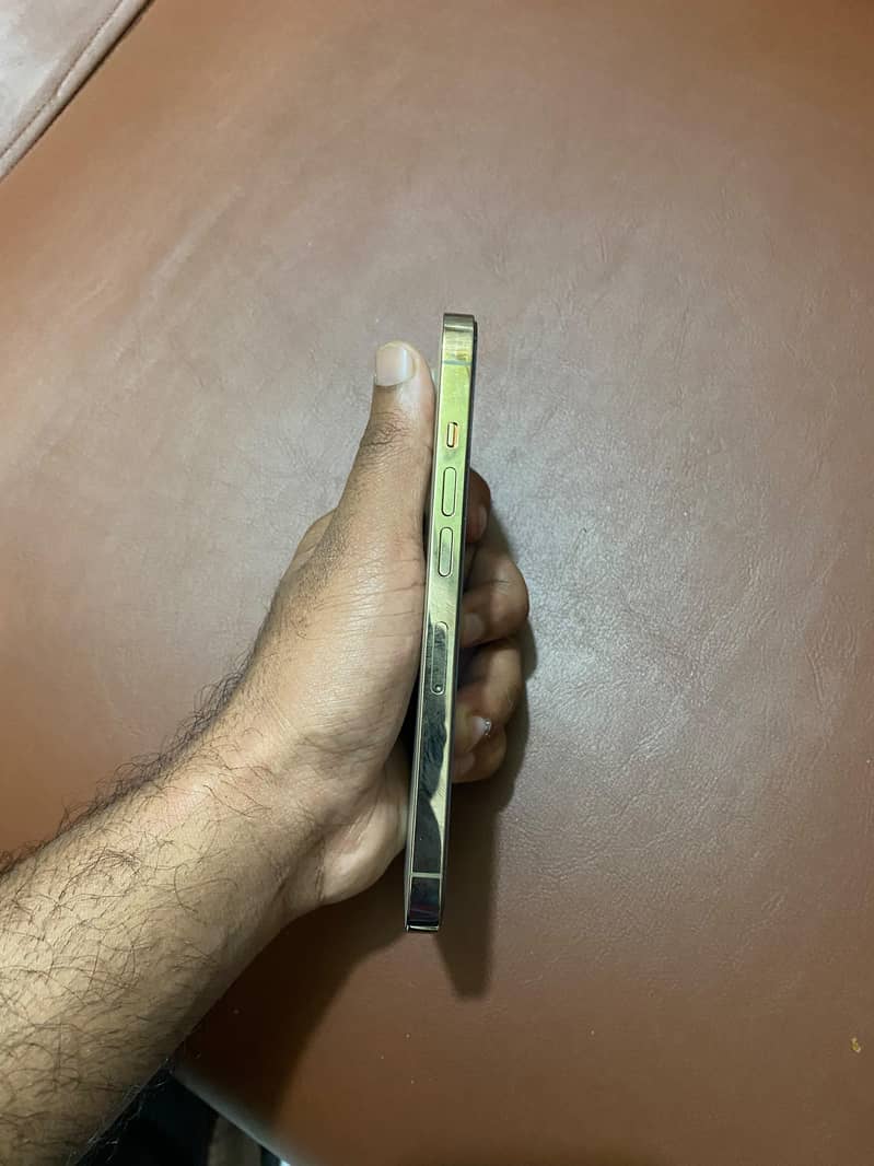 Apple iPhone 13 Pro Max 3