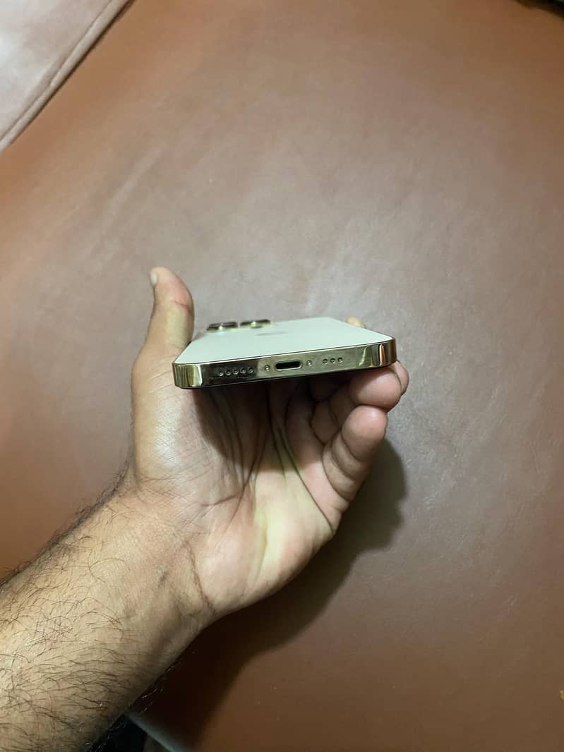 Apple iPhone 13 Pro Max 4