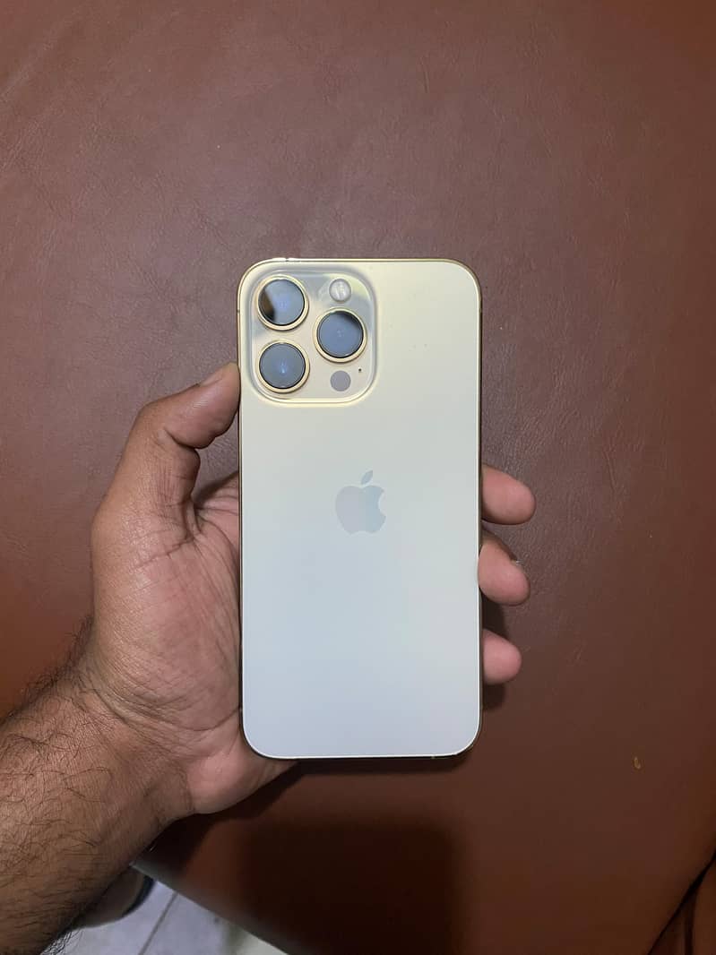 Apple iPhone 13 Pro Max 5