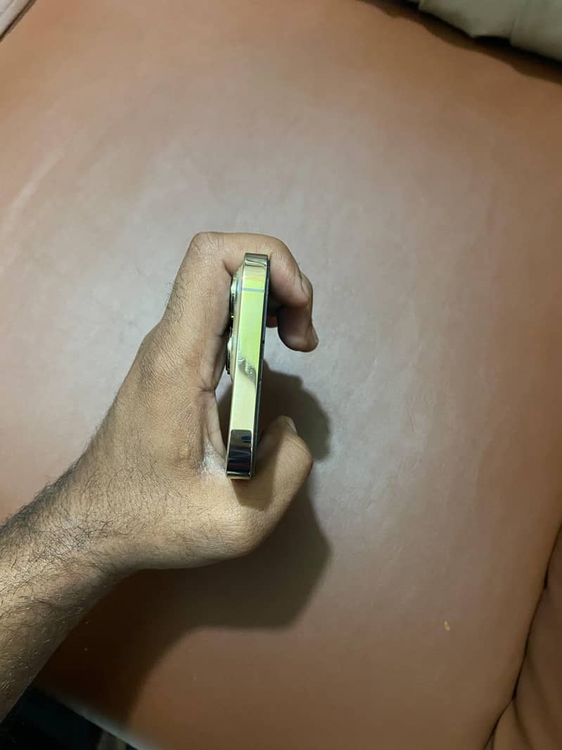 Apple iPhone 13 Pro Max 6