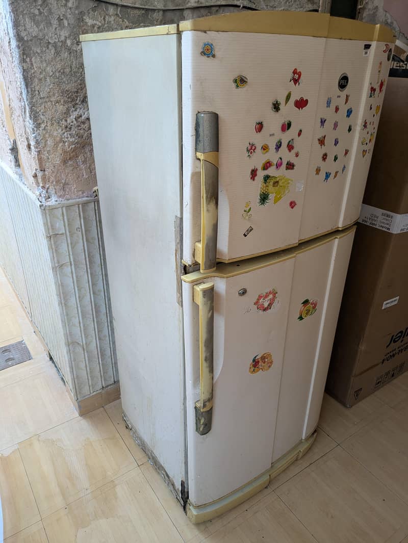 Pel Fridge 1