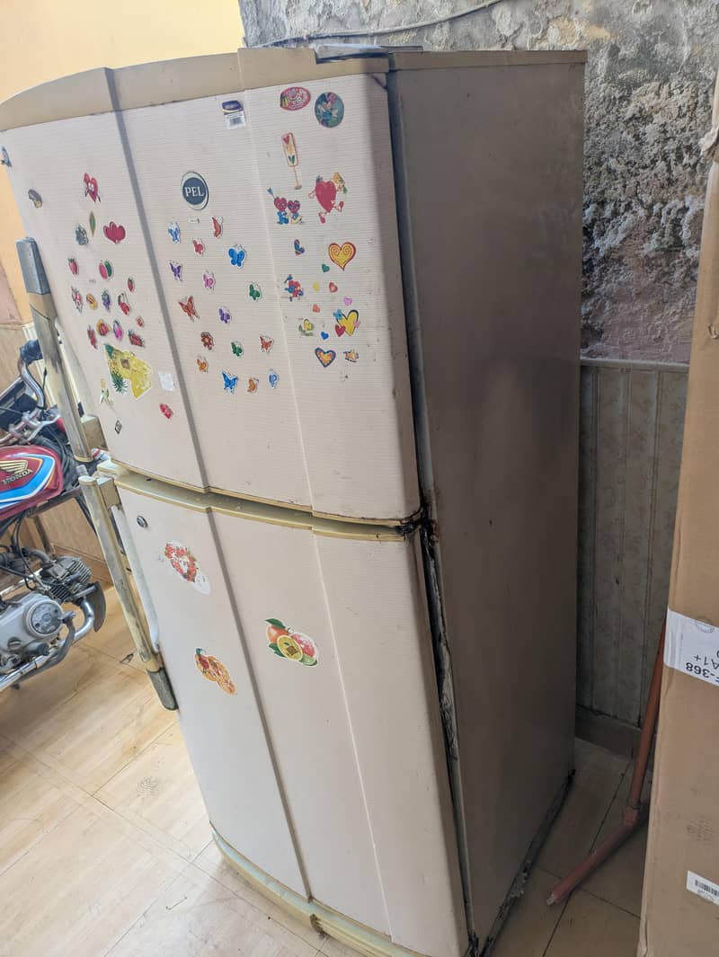 Pel Fridge 2