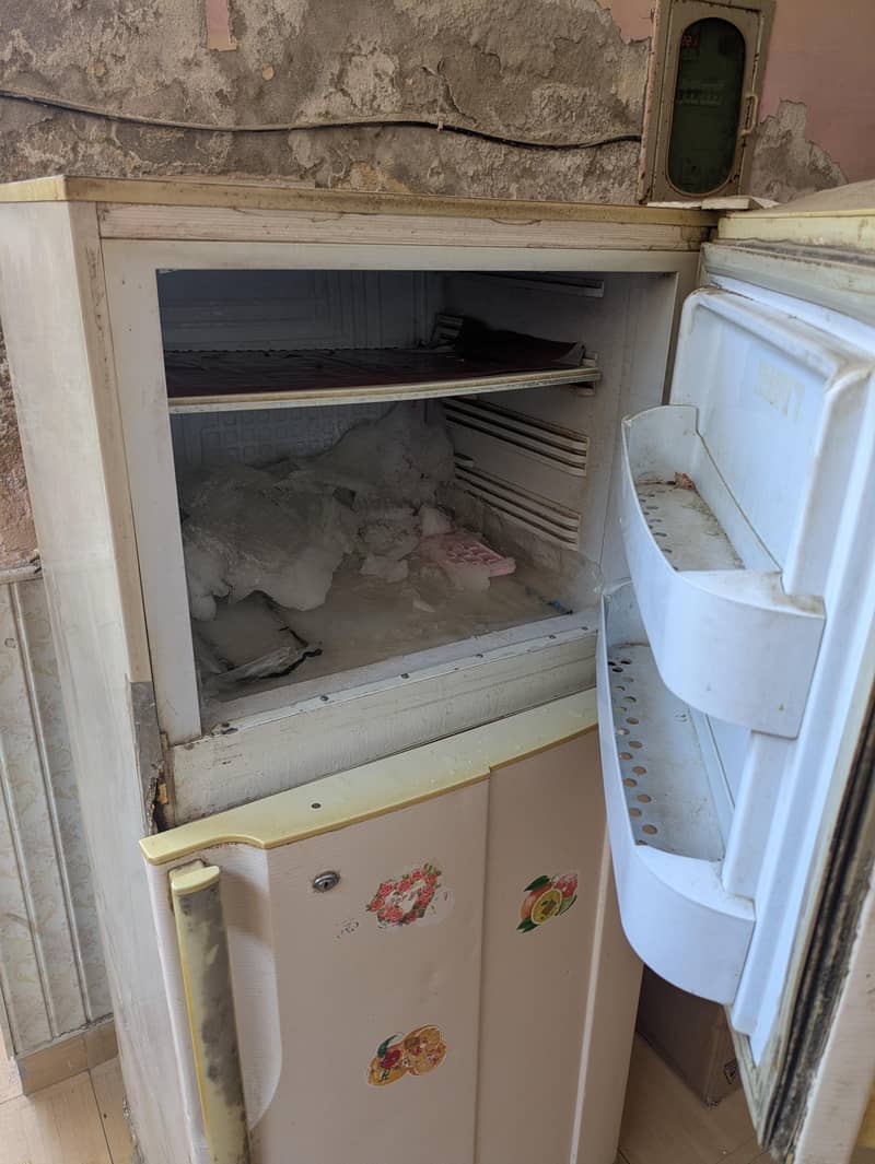 Pel Fridge 3