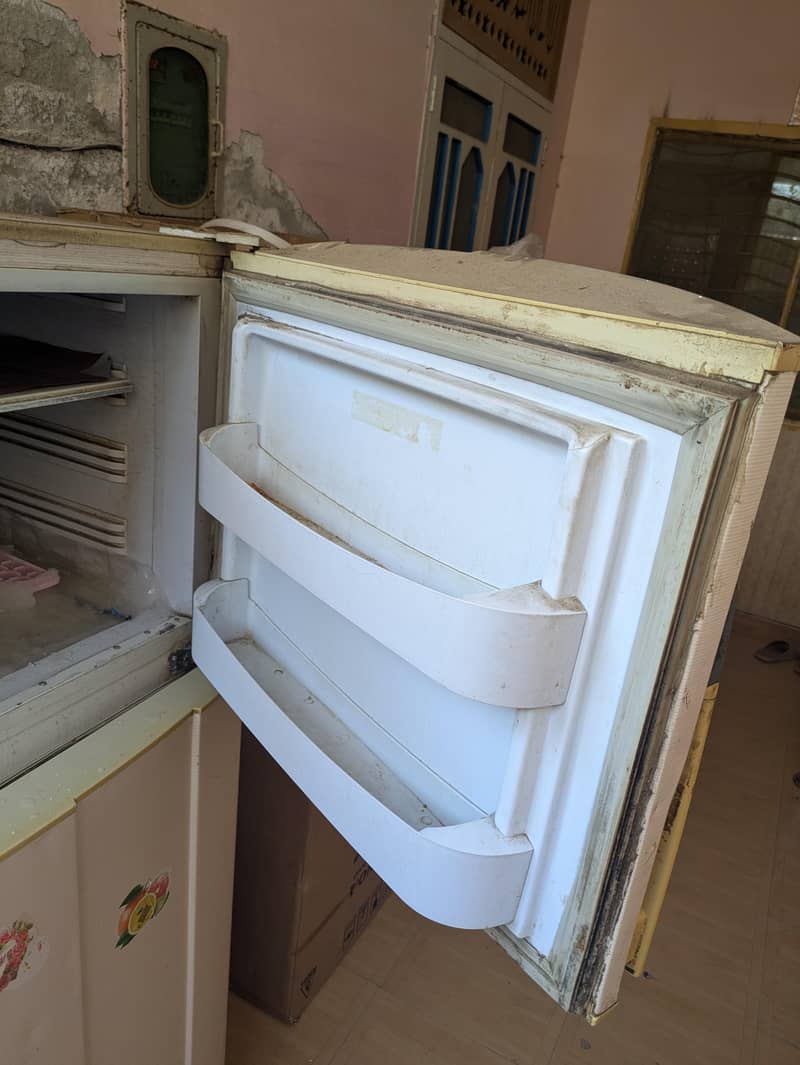 Pel Fridge 4