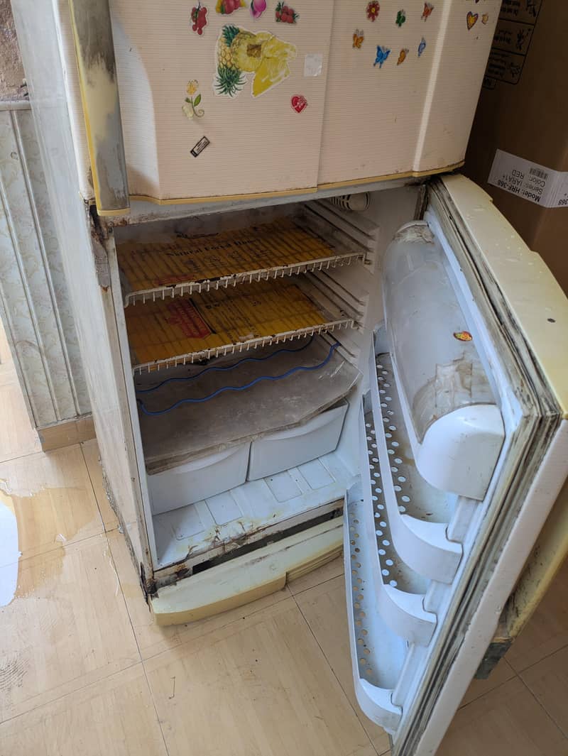 Pel Fridge 5