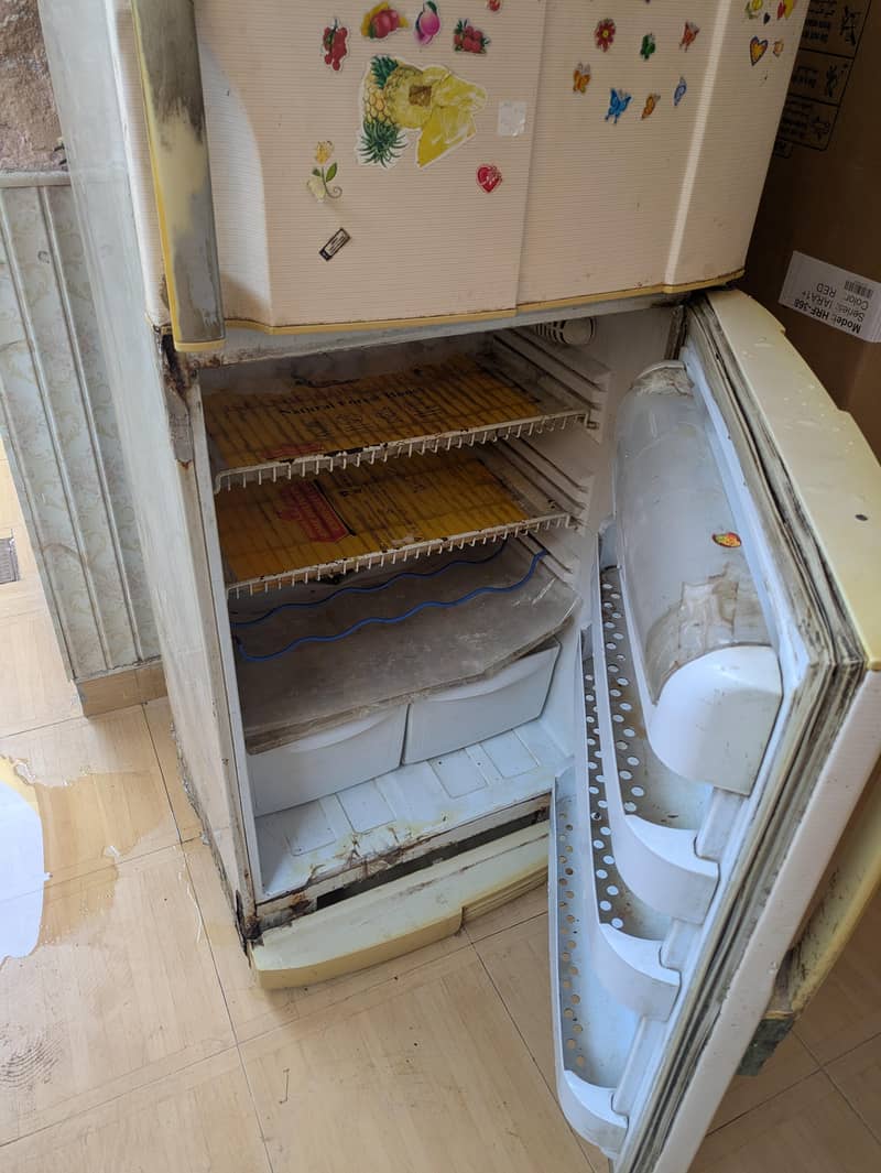 Pel Fridge 6