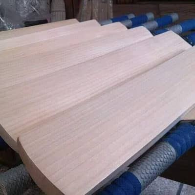 customized original English willow wood cricket bats