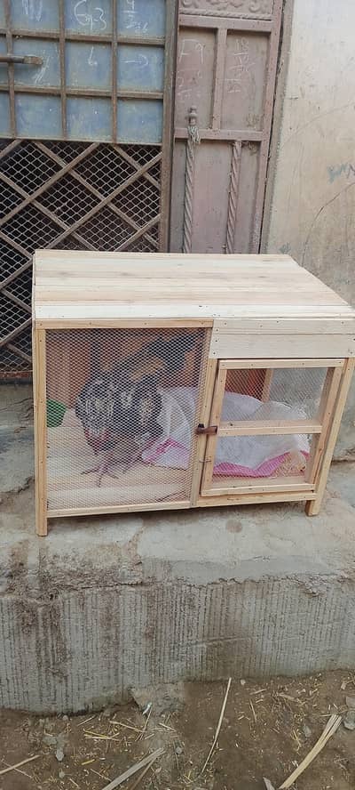 10.10 condition 03179654982