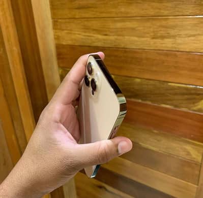 Apple iPhone 12 Pro Max