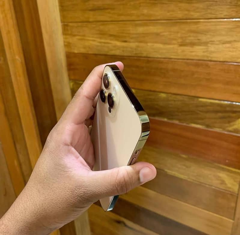 Apple iPhone 12 Pro Max 0