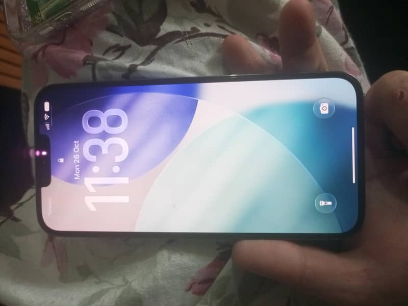 Apple iPhone 13 Pro Max 1