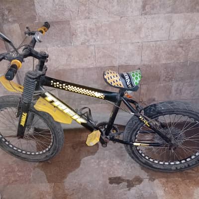 trek bicycle